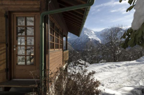 Chalet Marie Paradis vue Mont Blanc